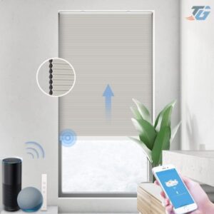 Alternative view of Rèm Tổ Ong