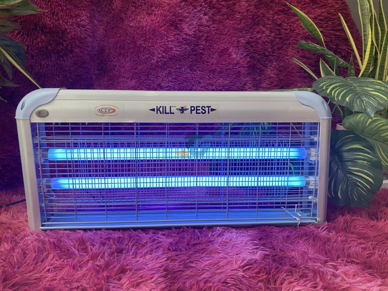 Thi công Đèn diệt côn trùng Thi công Đèn diệt côn trùng