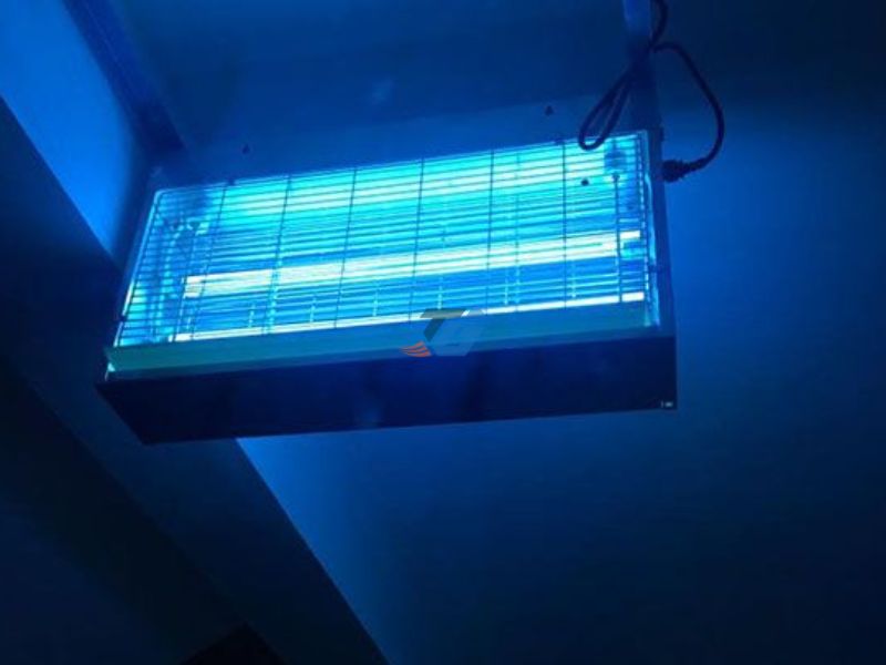 Đèn diệt côn trùng Đèn diệt côn trùng